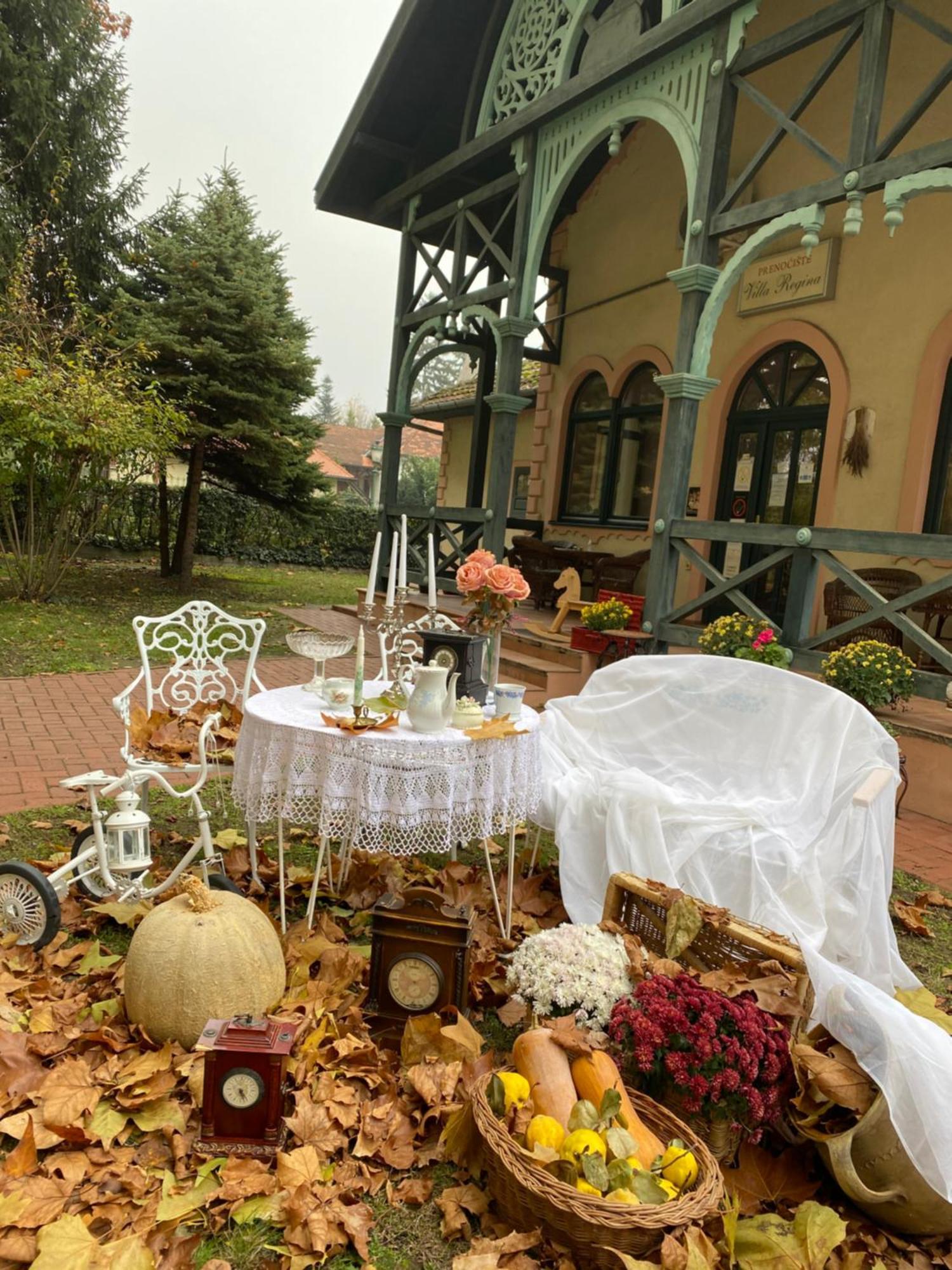 Vila Regina Palić Exteriér fotografie