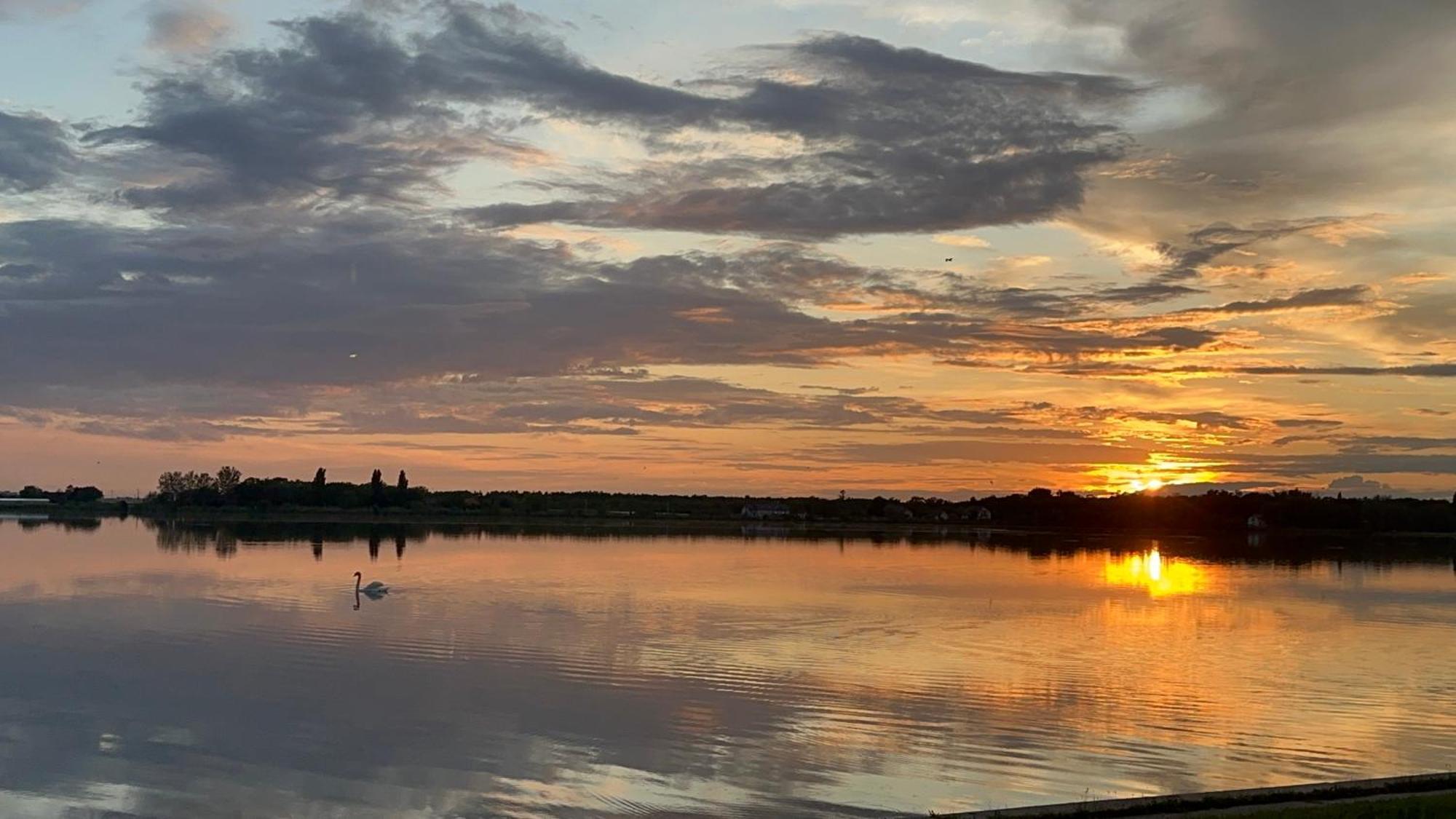 Vila Regina Palić Exteriér fotografie