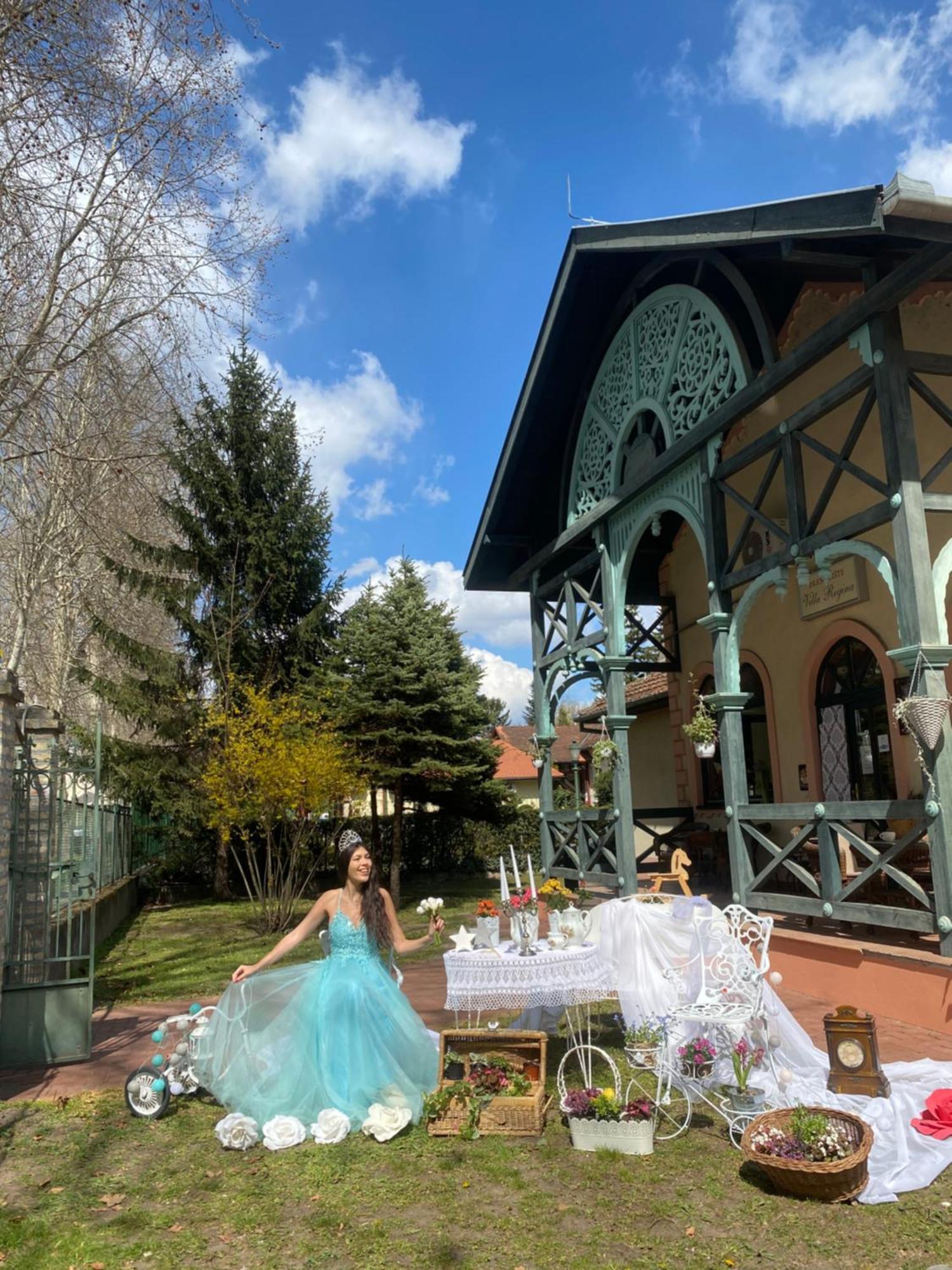 Vila Regina Palić Exteriér fotografie