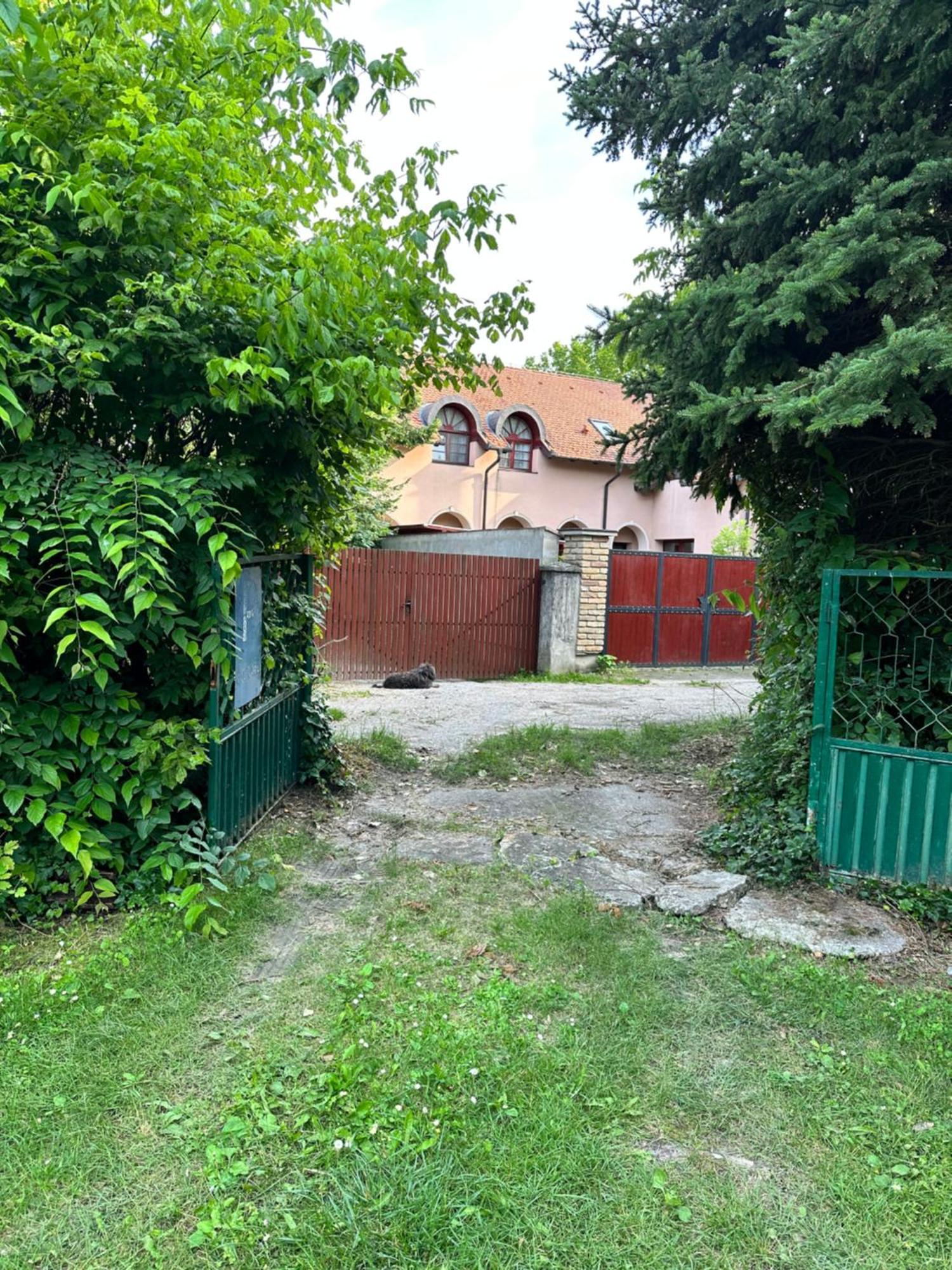 Vila Regina Palić Pokoj fotografie
