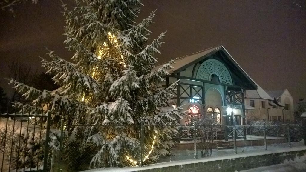 Vila Regina Palić Exteriér fotografie