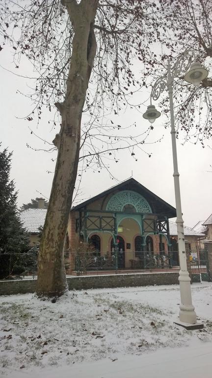 Vila Regina Palić Exteriér fotografie